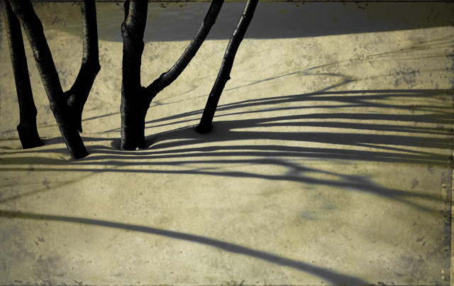 Snow shadows