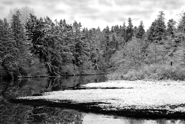 Winter Estuary