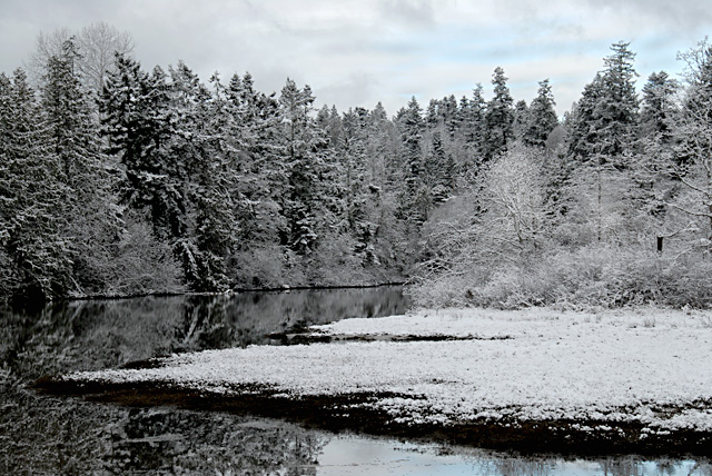 Winter estuary in color