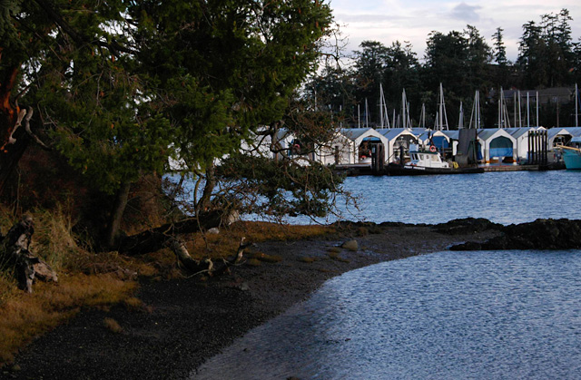 Tsehum Harbour