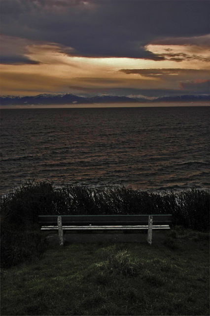 night bench