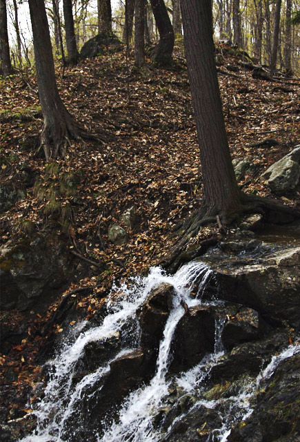 Spring runoff