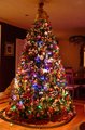 christmas tree 2006.jpg