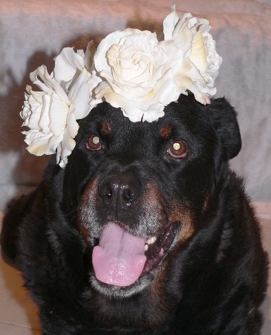 beauti 003.JPG1.jpg