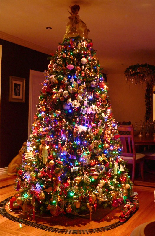 christmas tree 2006.jpg