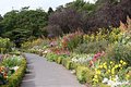 Around the garden