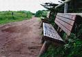 Overlook Bench