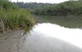 River's Edge