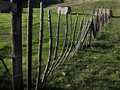 Stake Fence