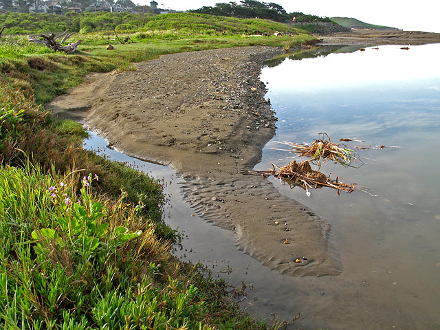 The River