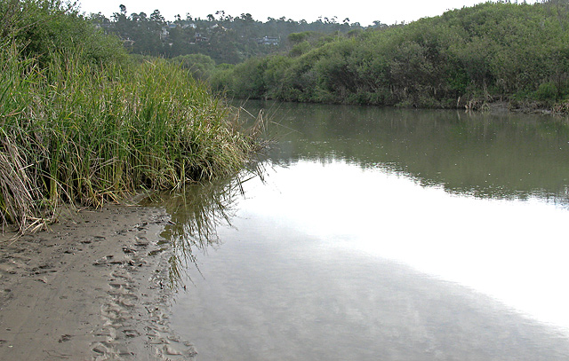 River's Edge