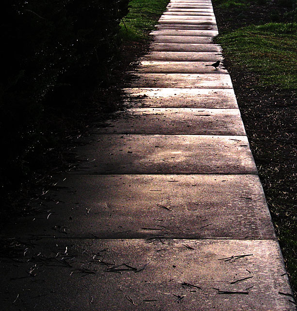 The Walkway