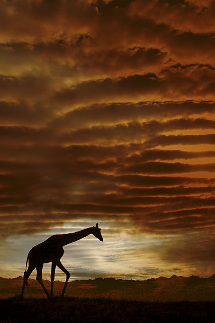 Sunset Walk