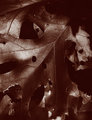 On Death