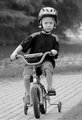 trainingwheelsbasic.jpg