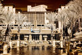 Flamingo Hotel Pool