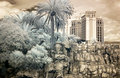 palazzo.jpg