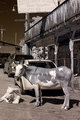 welcome-wagonless.jpg