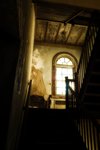Daylight