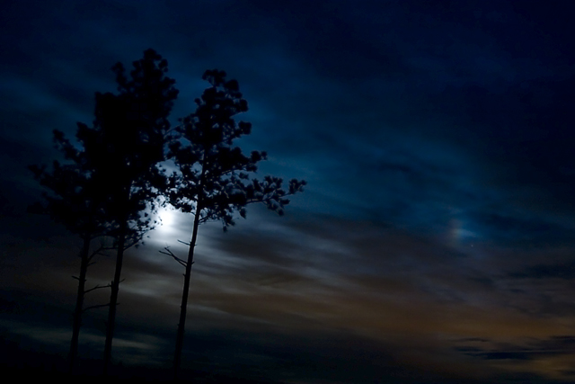 moon.jpg