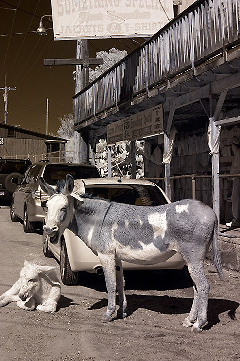 welcome-wagonless.jpg