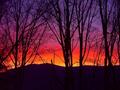 Fall-sunset.jpg