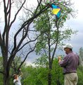 kite hunting