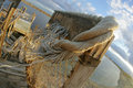 Salton Sea