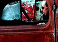 bear driving old car