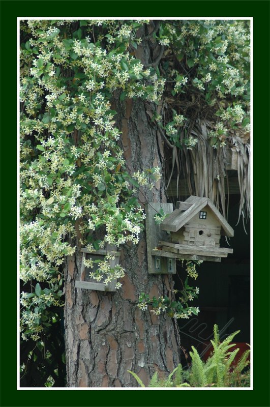 gene mitchell bird house