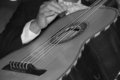 Mariachi #3705