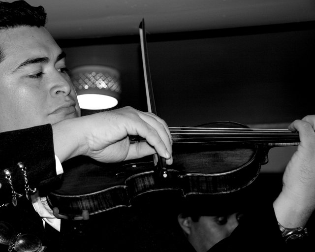 Mariachi #3701