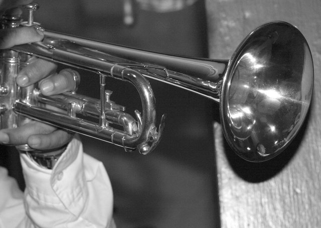 Mariachi #3703