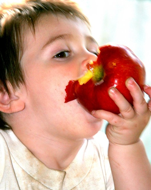 Boy Apple  Dirt