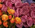 Roses.jpg