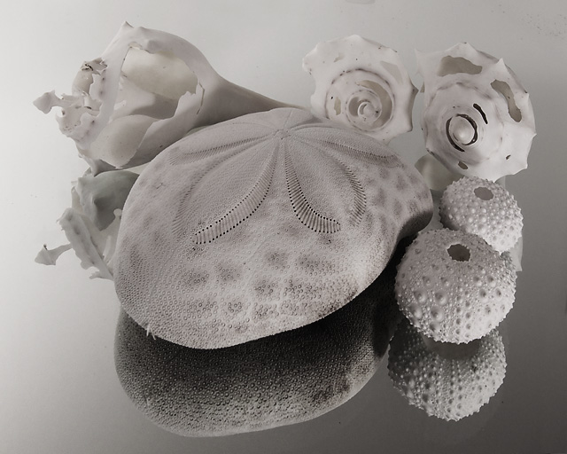 Shells for Lighting Practice