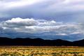 Bolivian Altiplano
