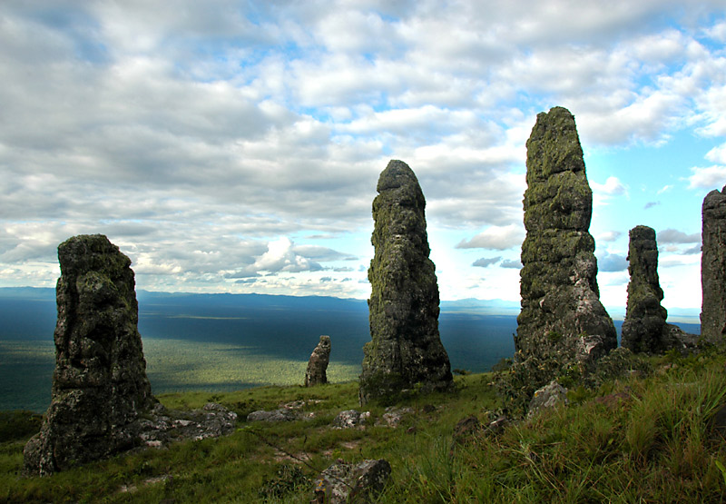 Guardians