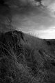 Approaching Storm