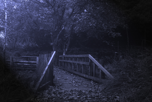 Wooden Bridge.jpg