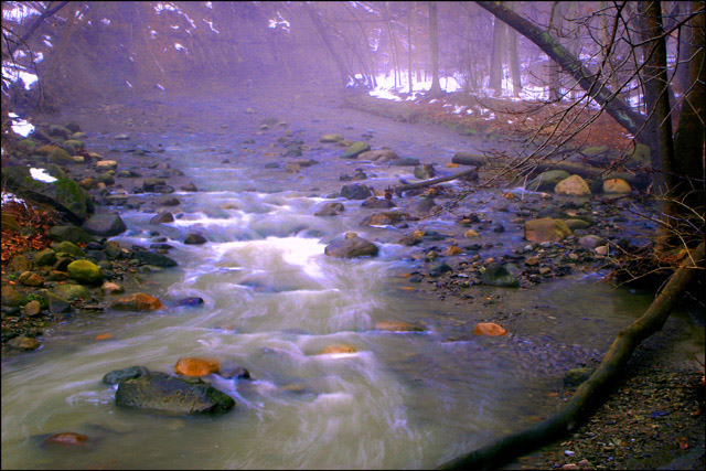 Cuyahoga Valley National Park Winter Fog