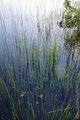 DSC_1460_CSweb.JPG