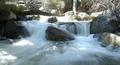 Somewhere in Yosemite