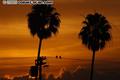 Sunrise in LA 1