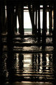 Under the Santa Monica Pier 2