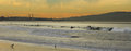 CA Surfing in December