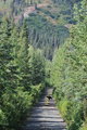 DSC_1620_CSweb.JPG