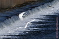 DSC_2848_CSweb