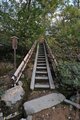 DSC_3326_CSweb
