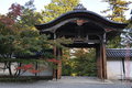 DSC_2926_CSweb